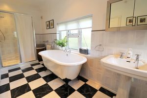 Photo 14- click for photo gallery